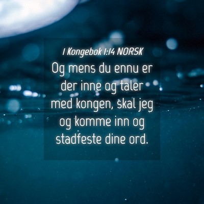 Picture 04 - 1 Kongebok 1:14 NORSK - Og mens du ennu er der inne og taler med kongen, - Bible Verse Picture