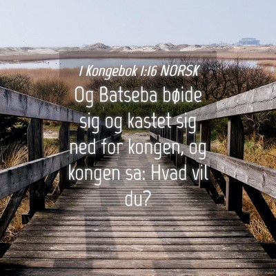Picture 04 - 1 Kongebok 1:16 NORSK - Og Batseba bøide sig og kastet sig ned for - Bible Verse Picture