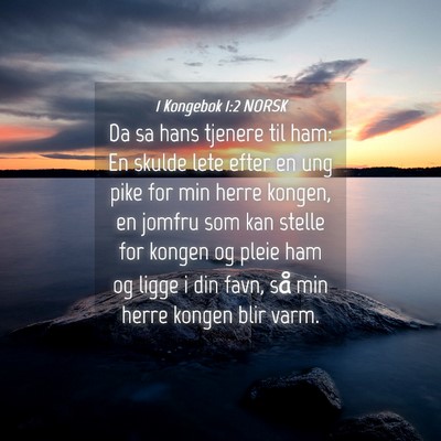 Picture 04 - 1 Kongebok 1:2 NORSK - Da sa hans tjenere til ham: En skulde lete efter - Bible Verse Picture