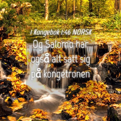 Picture 04 - 1 Kongebok 1:46 NORSK - Og Salomo har også alt satt sig på - Bible Verse Picture
