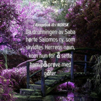 Picture 04 - 1 Kongebok 10:1 NORSK - Da dronningen av Saba hørte Salomos ry, som - Bible Verse Picture