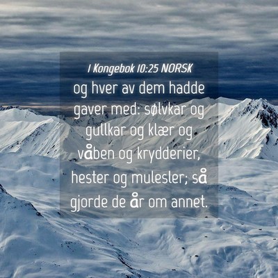 Picture 04 - 1 Kongebok 10:25 NORSK - og hver av dem hadde gaver med: sølvkar og - Bible Verse Picture