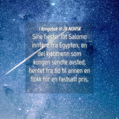 Picture 04 - 1 Kongebok 10:28 NORSK - Sine hester lot Salomo innføre fra Egypten; en - Bible Verse Picture