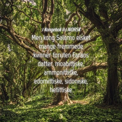 Picture 04 - 1 Kongebok 11:1 NORSK - Men kong Salomo elsket mange fremmede kvinner - Bible Verse Picture