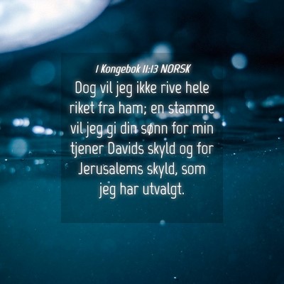 Picture 04 - 1 Kongebok 11:13 NORSK - Dog vil jeg ikke rive hele riket fra ham; en - Bible Verse Picture