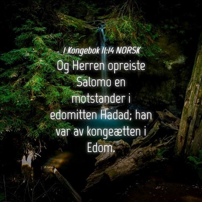 Picture 04 - 1 Kongebok 11:14 NORSK - Og Herren opreiste Salomo en motstander i - Bible Verse Picture