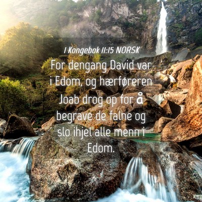 Picture 04 - 1 Kongebok 11:15 NORSK - For dengang David var i Edom, og hærføreren - Bible Verse Picture