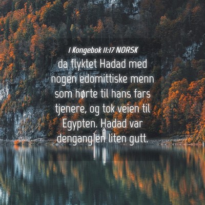 Picture 04 - 1 Kongebok 11:17 NORSK - da flyktet Hadad med nogen edomittiske menn som - Bible Verse Picture