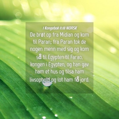 Picture 04 - 1 Kongebok 11:18 NORSK - De brøt op fra Midian og kom til Paran; fra - Bible Verse Picture