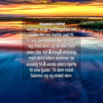 Picture 04 - 1 Kongebok 11:2 NORSK - kvinner av de hedningefolk om hvilke Herren hadde - Bible Verse Picture