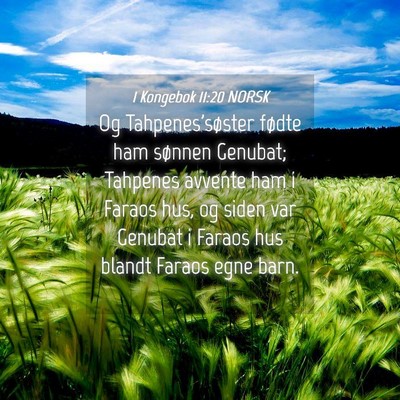 Picture 04 - 1 Kongebok 11:20 NORSK - Og Tahpenes'søster fødte ham sønnen Genubat; - Bible Verse Picture