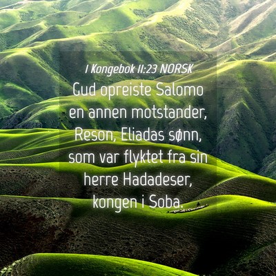 Picture 04 - 1 Kongebok 11:23 NORSK - Gud opreiste Salomo en annen motstander, Reson, - Bible Verse Picture
