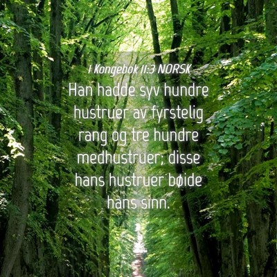 Picture 04 - 1 Kongebok 11:3 NORSK - Han hadde syv hundre hustruer av fyrstelig rang - Bible Verse Picture