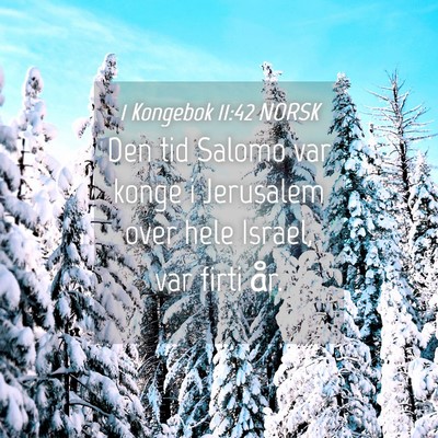 Picture 04 - 1 Kongebok 11:42 NORSK - Den tid Salomo var konge i Jerusalem over hele - Bible Verse Picture