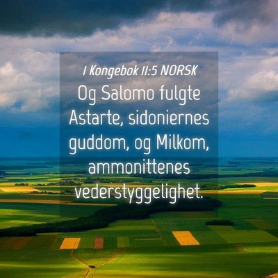 Picture 04 - 1 Kongebok 11:5 NORSK - Og Salomo fulgte Astarte, sidoniernes guddom, og - Bible Verse Picture