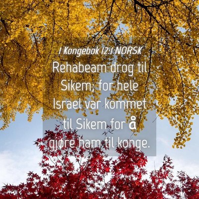 Picture 04 - 1 Kongebok 12:1 NORSK - Rehabeam drog til Sikem; for hele Israel var - Bible Verse Picture