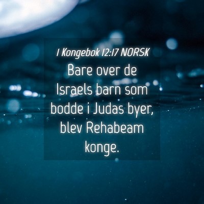 Picture 04 - 1 Kongebok 12:17 NORSK - Bare over de Israels barn som bodde i Judas byer, - Bible Verse Picture