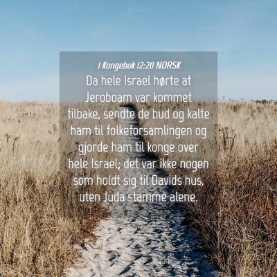 Picture 04 - 1 Kongebok 12:20 NORSK - Da hele Israel hørte at Jeroboam var kommet - Bible Verse Picture