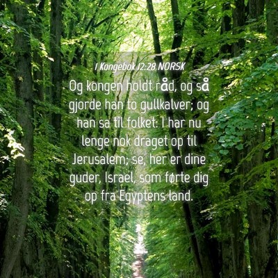 Picture 04 - 1 Kongebok 12:28 NORSK - Og kongen holdt råd, og så gjorde han to - Bible Verse Picture