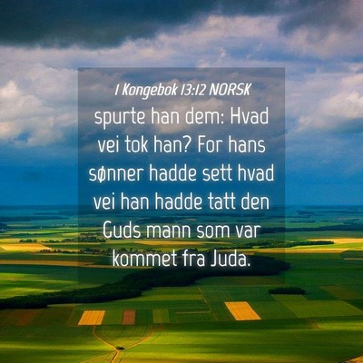 Picture 04 - 1 Kongebok 13:12 NORSK - spurte han dem: Hvad vei tok han? For hans - Bible Verse Picture