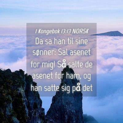 Picture 04 - 1 Kongebok 13:13 NORSK - Da sa han til sine sønner: Sal asenet for mig! - Bible Verse Picture