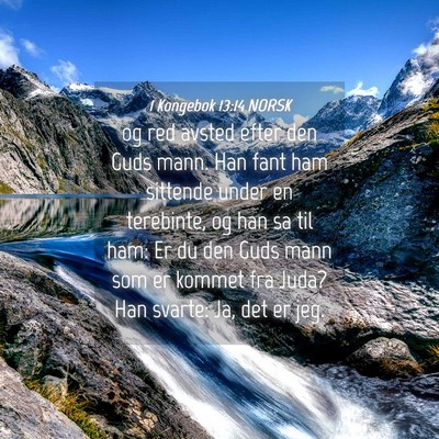 Picture 04 - 1 Kongebok 13:14 NORSK - og red avsted efter den Guds mann. Han fant ham - Bible Verse Picture