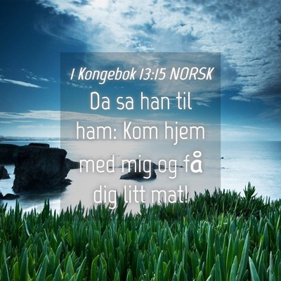 Picture 04 - 1 Kongebok 13:15 NORSK - Da sa han til ham: Kom hjem med mig og få dig - Bible Verse Picture