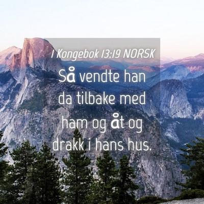 Picture 04 - 1 Kongebok 13:19 NORSK - Så vendte han da tilbake med ham og åt og drakk - Bible Verse Picture