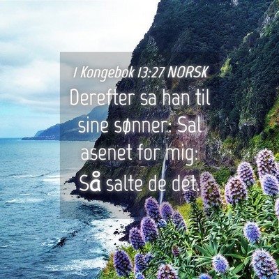 Picture 04 - 1 Kongebok 13:27 NORSK - Derefter sa han til sine sønner: Sal asenet for - Bible Verse Picture
