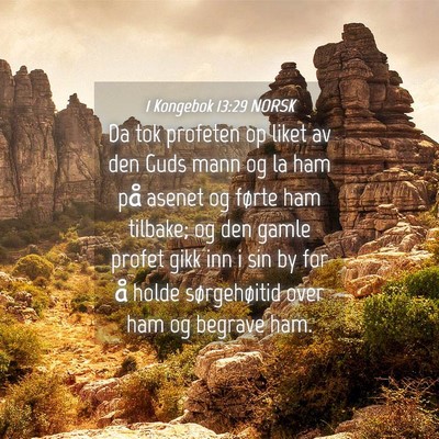 Picture 04 - 1 Kongebok 13:29 NORSK - Da tok profeten op liket av den Guds mann og la - Bible Verse Picture