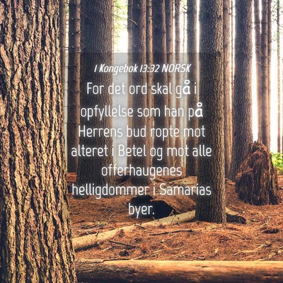 Picture 04 - 1 Kongebok 13:32 NORSK - For det ord skal gå i opfyllelse som han på - Bible Verse Picture