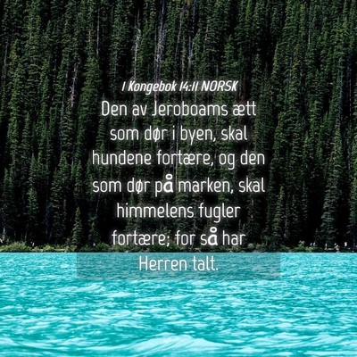 Picture 04 - 1 Kongebok 14:11 NORSK - Den av Jeroboams ætt som dør i byen, skal - Bible Verse Picture