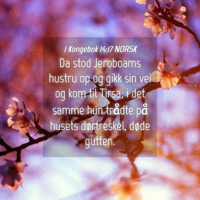 Picture 04 - 1 Kongebok 14:17 NORSK - Da stod Jeroboams hustru op og gikk sin vei og - Bible Verse Picture