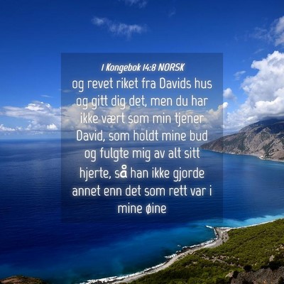 Picture 04 - 1 Kongebok 14:8 NORSK - og revet riket fra Davids hus og gitt dig det, - Bible Verse Picture