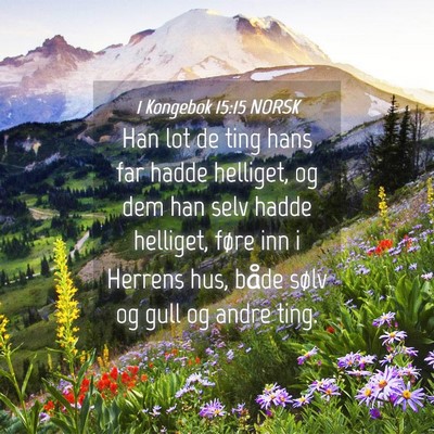 Picture 04 - 1 Kongebok 15:15 NORSK - Han lot de ting hans far hadde helliget, og dem - Bible Verse Picture