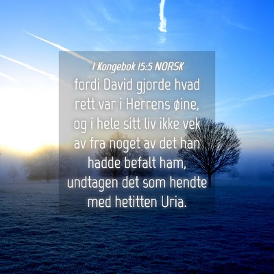 Picture 04 - 1 Kongebok 15:5 NORSK - fordi David gjorde hvad rett var i Herrens øine, - Bible Verse Picture