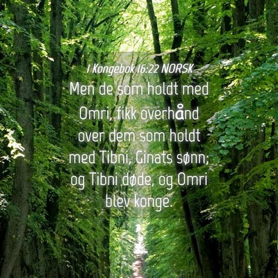 Picture 04 - 1 Kongebok 16:22 NORSK - Men de som holdt med Omri, fikk overhånd over - Bible Verse Picture