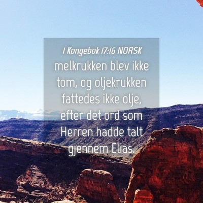Picture 04 - 1 Kongebok 17:16 NORSK - melkrukken blev ikke tom, og oljekrukken fattedes - Bible Verse Picture