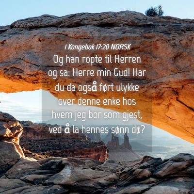 Picture 04 - 1 Kongebok 17:20 NORSK - Og han ropte til Herren og sa: Herre min Gud! Har - Bible Verse Picture