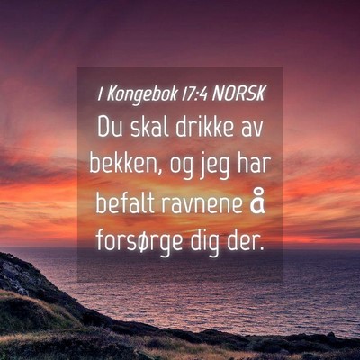 Picture 04 - 1 Kongebok 17:4 NORSK - Du skal drikke av bekken, og jeg har befalt - Bible Verse Picture