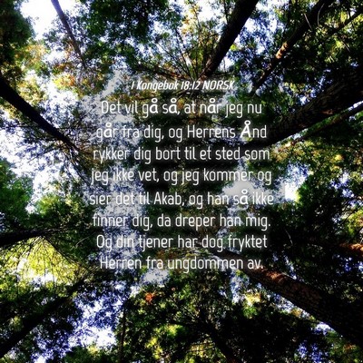 Picture 04 - 1 Kongebok 18:12 NORSK - Det vil gå så, at når jeg nu går fra dig, og - Bible Verse Picture