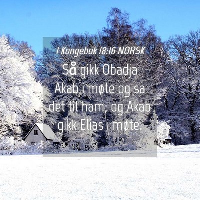 Picture 04 - 1 Kongebok 18:16 NORSK - Så gikk Obadja Akab i møte og sa det til ham; - Bible Verse Picture