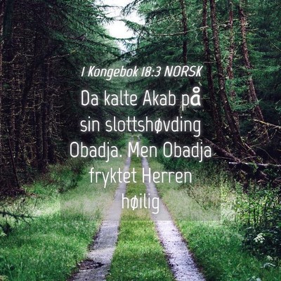 Picture 04 - 1 Kongebok 18:3 NORSK - Da kalte Akab på sin slottshøvding Obadja. Men - Bible Verse Picture