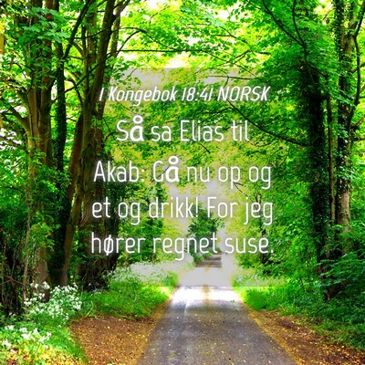 Picture 04 - 1 Kongebok 18:41 NORSK - Så sa Elias til Akab: Gå nu op og et og drikk! - Bible Verse Picture