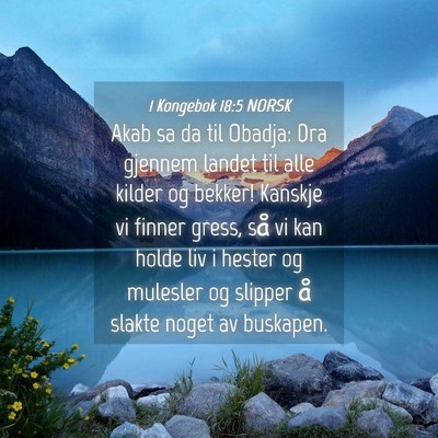 Picture 04 - 1 Kongebok 18:5 NORSK - Akab sa da til Obadja: Dra gjennem landet til - Bible Verse Picture