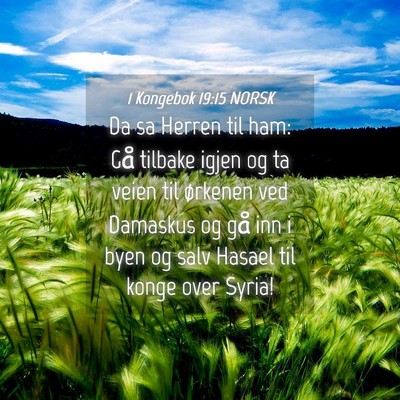 Picture 04 - 1 Kongebok 19:15 NORSK - Da sa Herren til ham: Gå tilbake igjen og ta - Bible Verse Picture