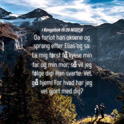 Picture 04 - 1 Kongebok 19:20 NORSK - Da forlot han oksene og sprang efter Elias og sa: - Bible Verse Picture