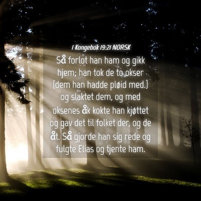 Picture 04 - 1 Kongebok 19:21 NORSK - Så forlot han ham og gikk hjem; han tok de to - Bible Verse Picture