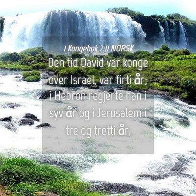 Picture 04 - 1 Kongebok 2:11 NORSK - Den tid David var konge over Israel, var firti - Bible Verse Picture