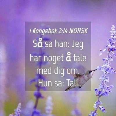 Picture 04 - 1 Kongebok 2:14 NORSK - Så sa han: Jeg har noget å tale med dig om. Hun - Bible Verse Picture